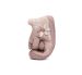 Lasten paljasjalka ensiaskelkengät - Baby Pink/ Kukka - DD Step 